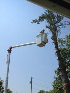 287855_10100193342911363_1257235325_o (1)