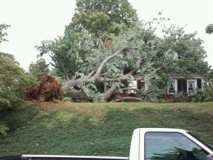 413774_459685977377638_1118690630_o