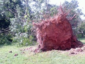 428775_4051139234506_1470999961_n