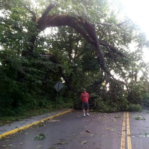 561064_10150940074574005_1918619263_n