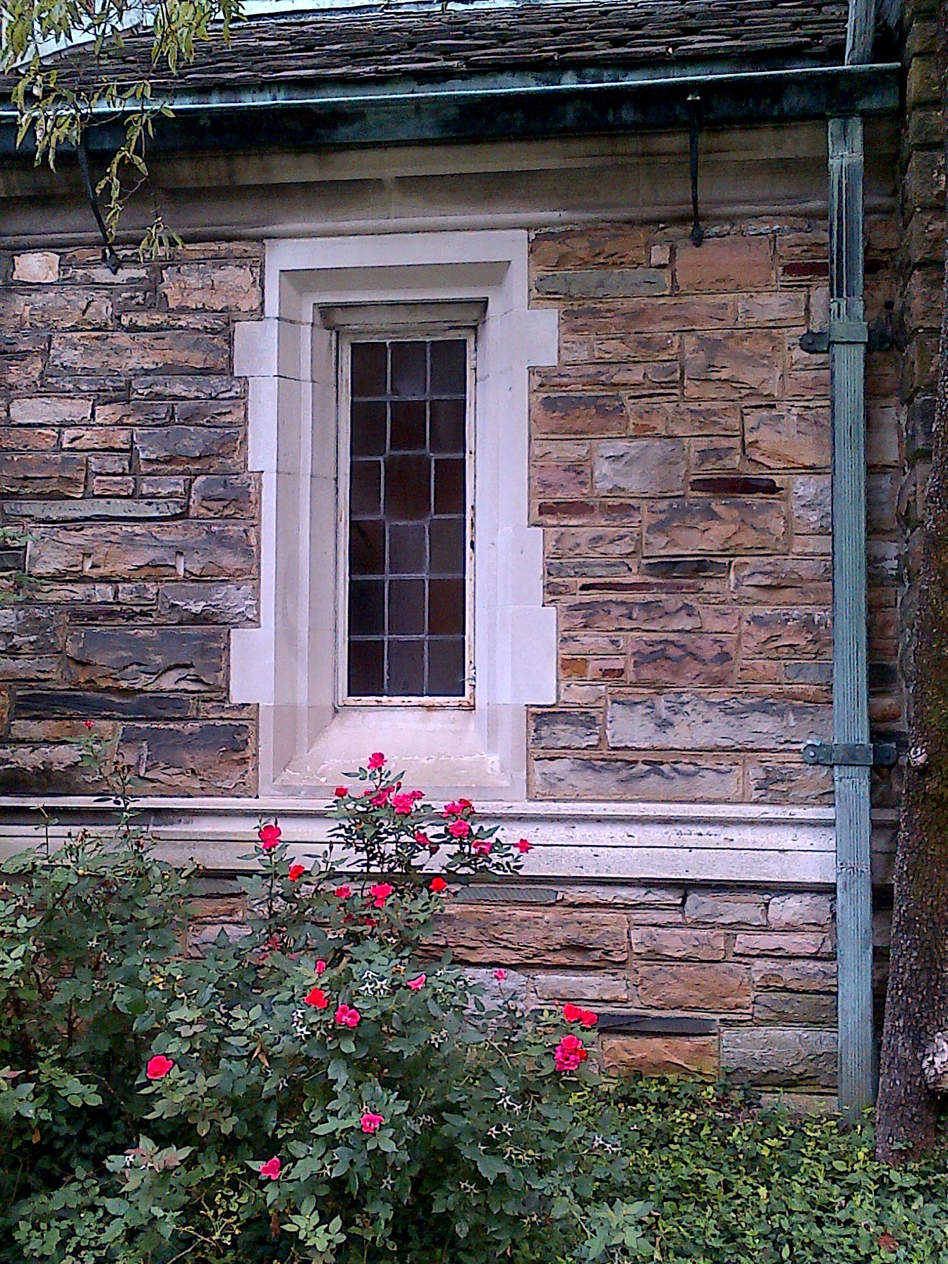 IMG-20120809-00035 (2)