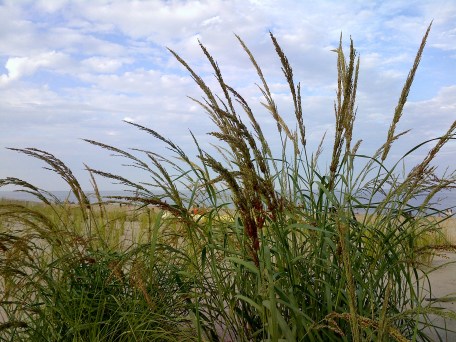 IMG-20130811-00794 - Copy