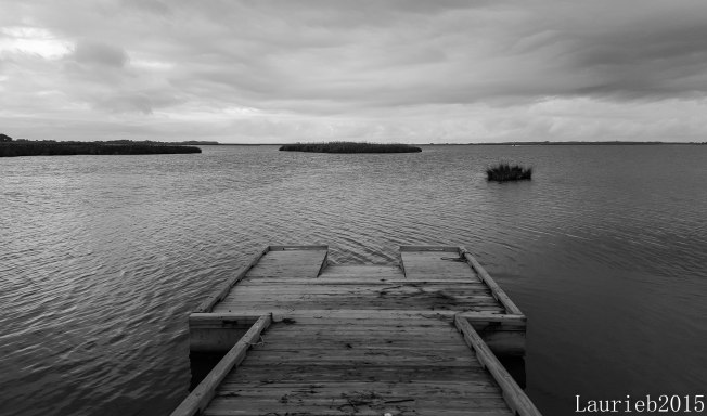 20150808_093743