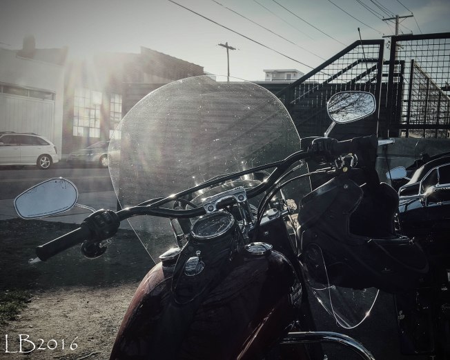 2016-01-03 18.28.22-2