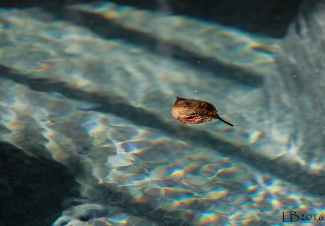 _MG_0870-3