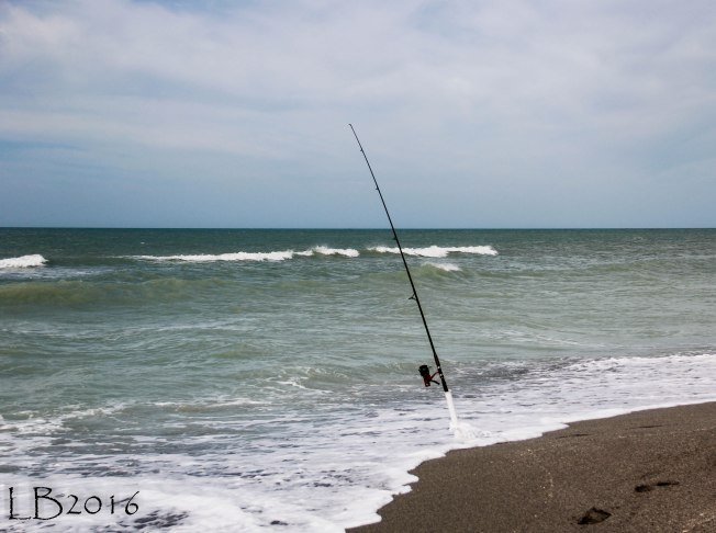 _MG_0901-2