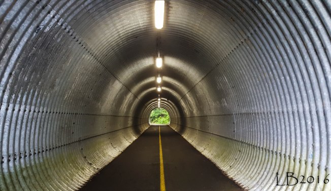 20160604_074932 - Copy-2