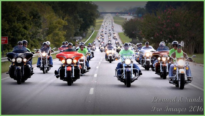 14409379_10206983409924020_7099428664700469049_o-2