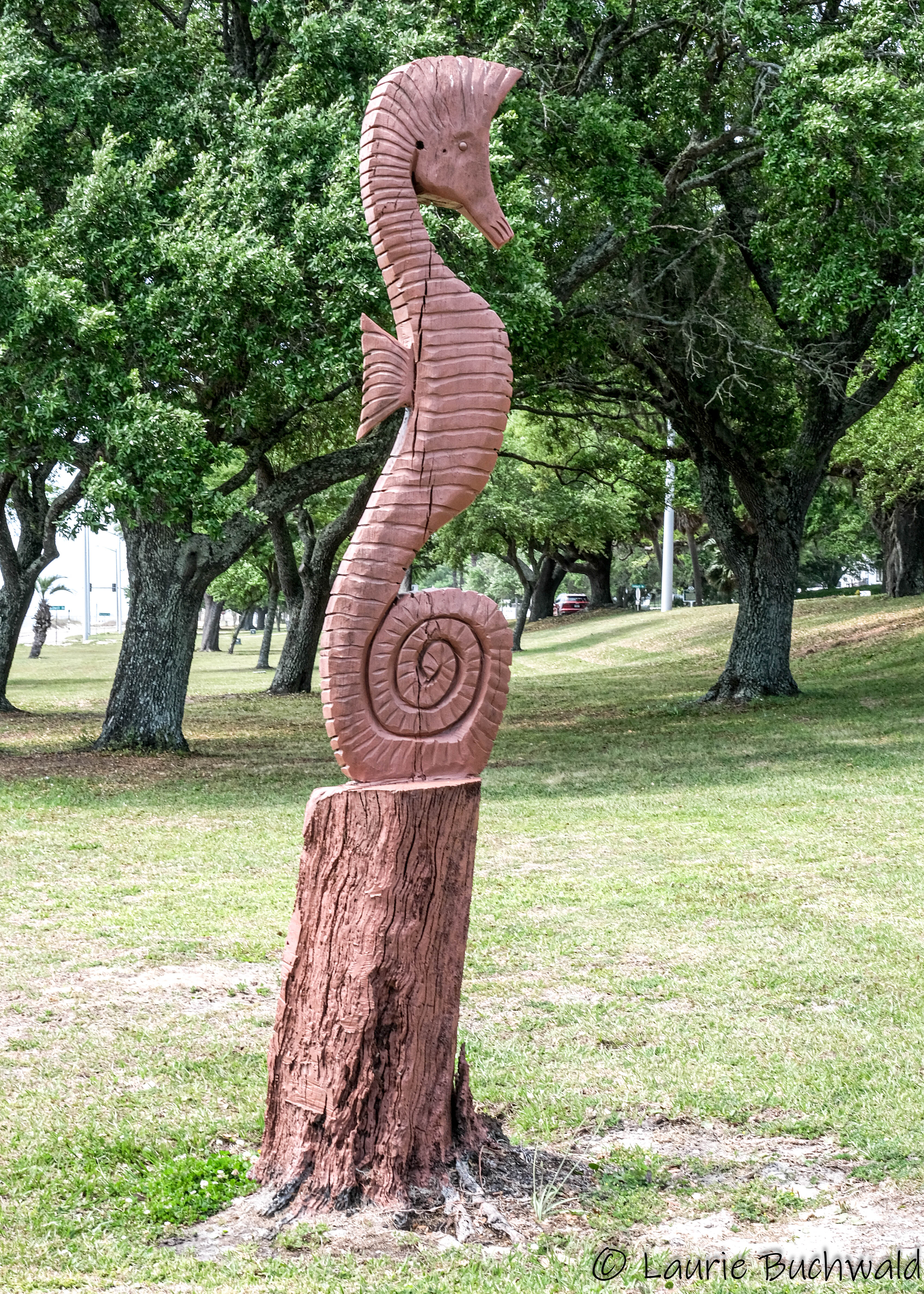 Hurricane Katrina Live Oak Sculptures | Life on the Bike and other