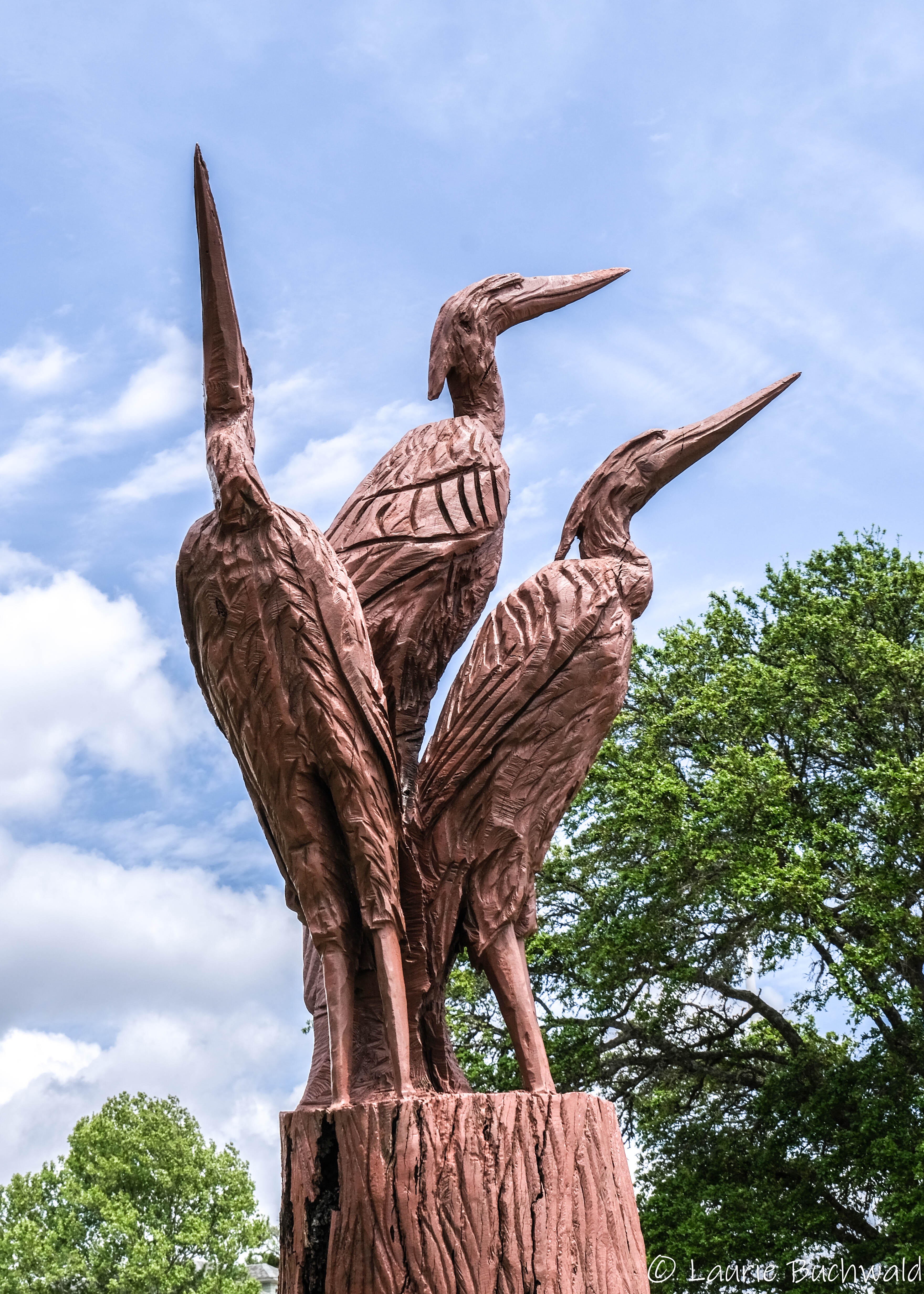 Hurricane Katrina Live Oak Sculptures | Life on the Bike and other